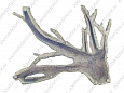 Грот Декси Коряга (741) 50х40х10см