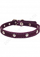 Ошейник Buddy однослойный кожаный с металлофурнитурой фиолетовый 14мм 27-33см (003/5)