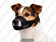 Намордник Buddy нейлоновый №S об22см L9см (SH 372)