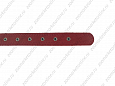 Ошейник Buddy двуслойный кожаный неукрашенный красный 25мм 39-52см (039/2)