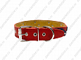 Ошейник Buddy двуслойный кожаный украшенный красный 36мм 47-60см (079)