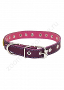 Ошейник Buddy двуслойный кожаный украшенный фиолетовый 20мм 32-40см (024)