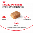 Royal Canin Chihuahua Adult корм сухой для взрослых собак в возрасте от 8 мес. породы Чихуахуа, 500г