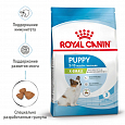 Royal Canin X-Small Puppy корм сухой для щенков миниатюрных пород в возрасте до 10 месяцев, 1,5кг