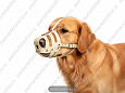 Намордник Buddy цельнокроенный №2 об34см L8см (316)
