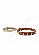 Ошейник Buddy однослойный кожаный украшенный черный 14мм 27-33см (009)