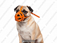 Намордник Buddy №0 об25см L6,5см (300)