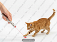 Игрушка для кошек Котенок LS30 Лазерная указка, USB-кабель в комплекте