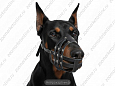 Намордник Buddy об30см L10см (доберман) (299)