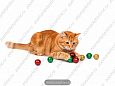 Игрушка для кошек мяч блестящий с погремушкой 4,5 см 20 шт