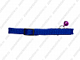Ошейник Buddy однослойный нейлоновый неукрашенный цветной 10мм 20-33см (SH 197)