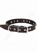 Ошейник Buddy однослойный кожаный украшенный 20мм 32-40см (014)