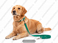 Комплект Buddy полипропиленовый поводок зеленый 1,6м + ошейник зеленый 35-52см (635/2)/911