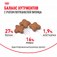 Royal Canin Mini Adult корм сухой для собак мелких пород в возрасте от 10 месяцев, 8кг