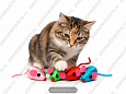 Игрушка мышь разноцветная 5см NT1169-A (ТУБА 24шт)