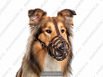 Намордник Buddy об25см L9.5см (колли) (308)