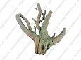 Грот Декси Коряга (742) 50х40х10см