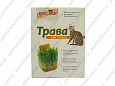 Котенок травка для кошек в коробке 80г