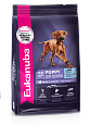Eukanuba Puppy Large Breed ?12 months корм сухой для щенков круп. и очень крупных пород с птицей 3кг