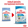 Royal Canin X-Small Puppy корм сухой для щенков миниатюрных пород в возрасте до 10 месяцев, 500г