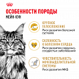 Royal Canin Maine Coon Adult корм сухой для взрослых кошек породы Мейн-кун старше 15 месяцев, 400г