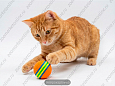 Игрушка для кошек мяч пробковый радуга 3,5 см 12 шт