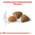 Royal Canin Savour Exigent корм сухой для привередливых кошек в возрасте от 1 года 2кг