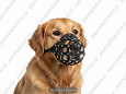 Намордник Buddy №6 об50см L11.5см (306)