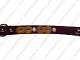 Ошейник Buddy двуслойный кожаный украшенный фиолетовый 20мм 33-41см (615/2)