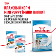 Royal Canin Mini Puppy корм сухой для щенков мелких пород возрасте до 10 месяцев, 800г