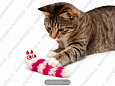Игрушка для кошек змея меховая 5 см