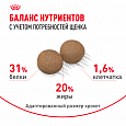 Royal Canin Mini Puppy корм сухой для щенков мелких пород возрасте до 10 месяцев, 4кг