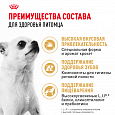 Royal Canin Chihuahua Adult корм сухой для взрослых собак в возрасте от 8 мес. породы Чихуахуа, 500г