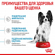 Royal Canin X-Small Puppy корм сухой для щенков миниатюрных пород в возрасте до 10 месяцев, 500г