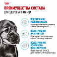 Royal Canin Mini Puppy корм сухой для щенков мелких пород возрасте до 10 месяцев, 800г