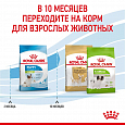 Royal Canin X-Small Puppy корм сухой для щенков миниатюрных пород в возрасте до 10 месяцев, 500г