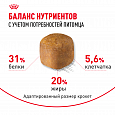 Royal Canin Maine Coon Adult корм сухой для взрослых кошек породы Мейн-кун старше 15 месяцев, 400г