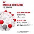 Royal Canin Chihuahua Adult корм сухой для взрослых собак в возрасте от 8 мес. породы Чихуахуа, 500г