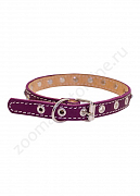 Ошейник Buddy двуслойный кожаный со стразами фиолетовый 14мм 27-33см (650/4)