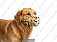 Намордник Buddy цельнокроенный №1 об30см L7см (315)