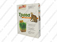 Котенок травка для кошек в коробке 80г