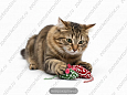 Игрушка для кошек мышь-плюшка 9 см 2 шт