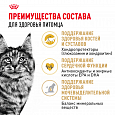 Royal Canin Maine Coon Adult корм сухой для взрослых кошек породы Мейн-кун старше 15 месяцев, 400г