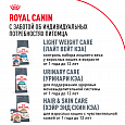 Royal Canin Maine Coon Adult корм сухой для взрослых кошек породы Мейн-кун старше 15 месяцев, 400г