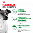 Royal Canin Mini Adult корм сухой для собак мелких пород в возрасте от 10 месяцев, 8кг