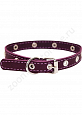 Ошейник Buddy однослойный кожаный с металлофурнитурой фиолетовый 14мм 27-33см (003/5)