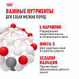 Royal Canin Mini Adult корм сухой для собак мелких пород в возрасте от 10 месяцев, 2кг