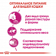 Royal Canin Savour Exigent корм сухой для привередливых кошек в возрасте от 1 года 2кг