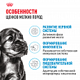 Royal Canin Mini Puppy корм сухой для щенков мелких пород возрасте до 10 месяцев, 800г