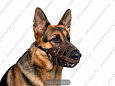 Намордник Buddy об31см L13см (овчарка) (309)
